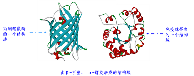 蛋白纯化策略--纯化方案的确定