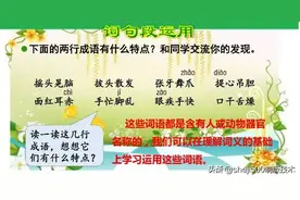统编版语文三年级上册教材课后习题参考答案，收藏学习图片