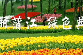 哪些人需要健康证明？究竟怎么填报？操作指南请收好图片