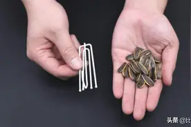 剥瓜子别用手抠？用一个窗帘挂钩，轻松剥一大碗，不脏嘴也不伤手图片
