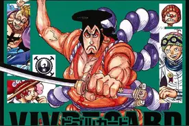 「独家」海贼王生命卡翻译！信息量爆炸的传说男人和赤鞘9人资料图片