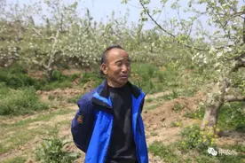 果树谢花后半月该不该浇水，参考这几点图片