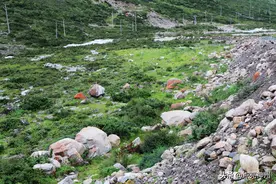 首次入藏必看：你将翻越的318第一关——折多山是什么样子？图片