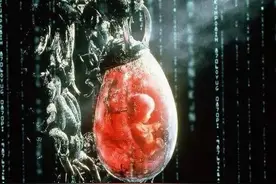 人类被自己发明的人工智能所淘汰：黑客帝国深度解析之电影背景图片