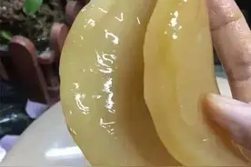 一种北方才有的稀奇物美食, 看着像一块“肥肉”图片