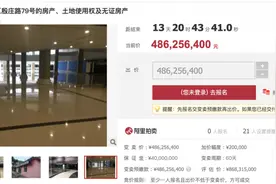 凛冬将至！刚刚徐州又一家商业体惨遭拍卖！总价狂降近4个亿图片