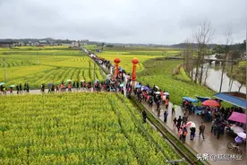 从区位极佳的百亩优质园地急寻有识之士加盟，谈投资农业的艰辛图片