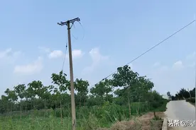 国网长垣市供电公司农村电网改造工作：废弃电力物资安全隐患之殇图片