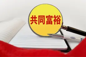 中国共产党领导下的农民合作社百年变迁与启示图片