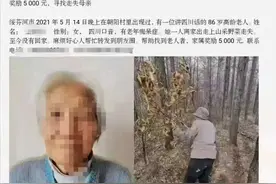 警犬立功！八旬老人深林中走失3天获救图片
