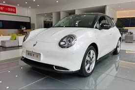 好一只猫！体验欧拉好猫图片