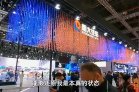 在上海车展的第一天，差点就被人打了，喵哥完美错失上热门的机会图片