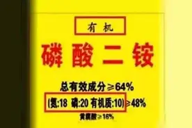 这样的二铵再便宜也不能买！真的长啥样？图片