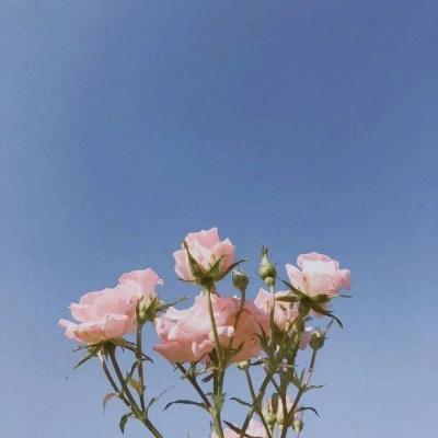 自律励志的奋斗昵称追梦少年-可爱点