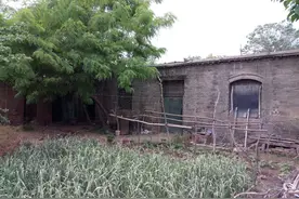 我想回故乡养老：朋友们纷纷劝我 千万不要回去图片