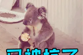 警惕！国外这些景点一个比一个坑，千万别上当图片