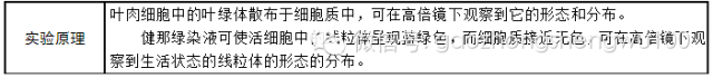 高中生物：易错易混知识点对比，搞懂别再错啦