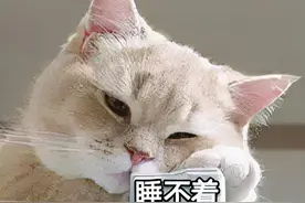 海安警方抓获​7名“裸聊”诈骗犯罪嫌疑人！图片