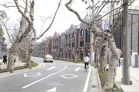 成都武侯城市有机更新：一条街就是一座博物馆图片