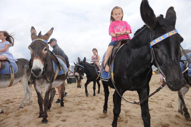 牵着不走，打着倒退，如何科学地驯服一头犟驴？