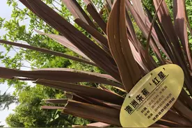 喵！去哪儿~游 · 西安植物园图片