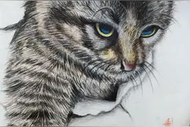 校长心语（十一）一篇朴实而震撼灵魂的高三反思图片