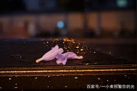 大多数人都做不了平凡普通人，我们只是千千万万的老王之一图片