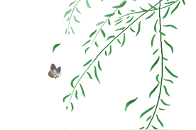 往事漫忆｜童年往事图片