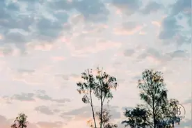 做人，成于三悟，败于三忌图片