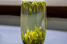 蒸青还是炒青？四川绿茶代表之雀舌的制作工艺变迁图片