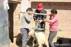 民间故事：男子夜走山路，见美妇上前抱住，数日后丢了小命图片