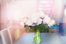 越是虚伪的女人，这些特征越明显，不要深交图片