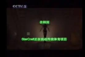 2003年是国内玩家的黄金时代，CCTV甚至还有电竞频道图片