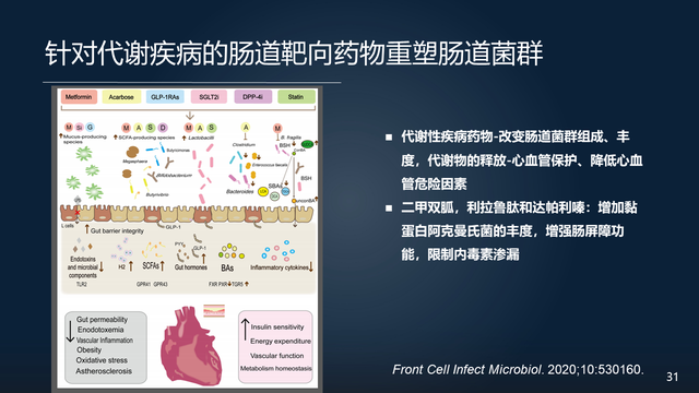 庞艳莉：22分钟详解肠道菌群与代谢疾病