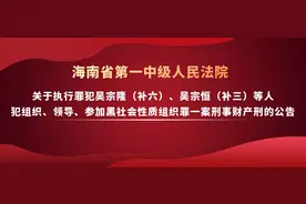 海南一中院 关于执行罪犯吴宗隆、吴宗恒等人犯组织、领导、参加黑社会性质组织罪一案刑事财产刑的公告图片