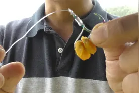 浅谈饵料的挂钩方式，用得好提升中鱼率，取决于个体大小图片