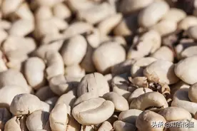 山区种植什么有“钱”途？种植这3个品种，投入少、见效快好管理图片