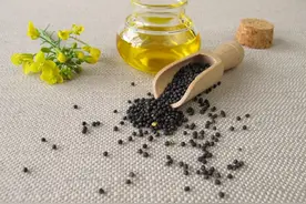 好吃、便宜还健康的低芥酸菜籽油，可因为这一点，我不敢再吃了图片