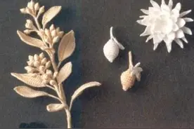 「钩编图解」最新设计的20款花朵及配饰应用（完整版）图片