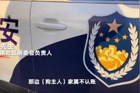 武汉女子“对抗不文明养犬”坠亡：狗主人搬离小区暂拒担责，物业承担有责赔偿图片