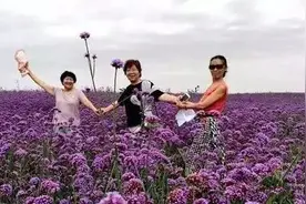 越读越快乐的《老年儿歌》，原来藏着这么多的奥妙！图片