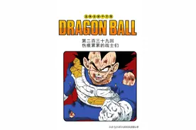七龙珠 全彩版 卷020 下 239-243话图片