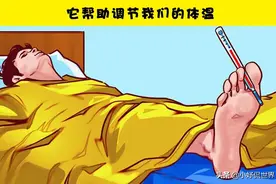 为什么我们晚上总忍不住把脚从床上伸出来？图片