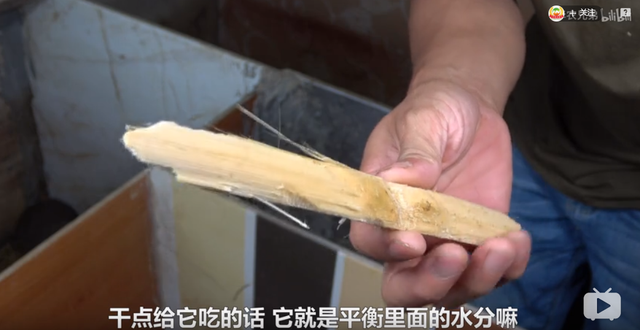 日本电影鸡皮疙瘩百度云资源