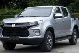 定位为自主高端皮卡，新增汽油发动机，皮卡TAGA达咖H将上市图片