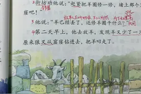二年级语文下册第五单元第12/13/14课堂笔记分享图片