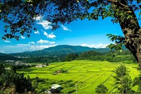 贞女子  | 偶尔图片