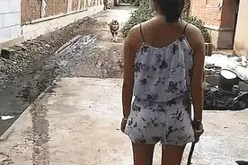 狗狗整夜不回家，早上主人拿棍子在路口堵它，画面看着相当熟悉图片