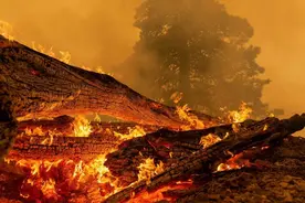 美国西海岸山火持续一月不休，是天灾还是人祸图片