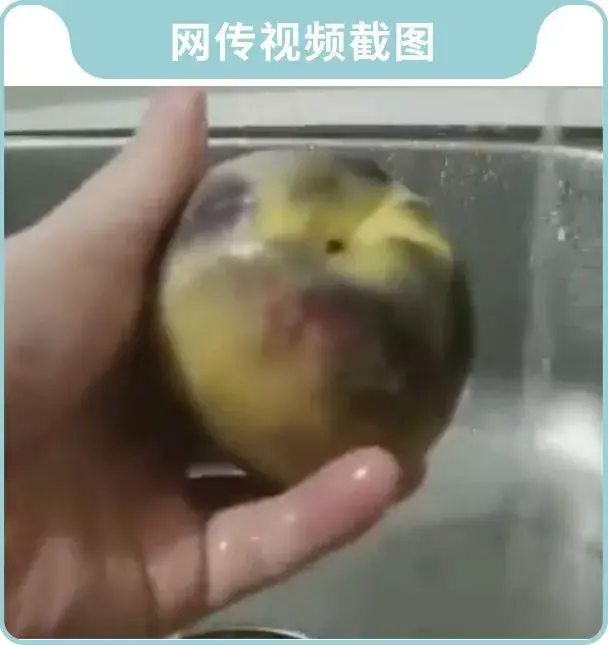 濂藉ソ鐨勬瀛愮敤杩欑帺鎰忓効娲楀畬鐬棿鍙戦粦锛熸澀宸為瓘鑰佺埜锛氬崈涓囧埆琚獥浜? onerror=